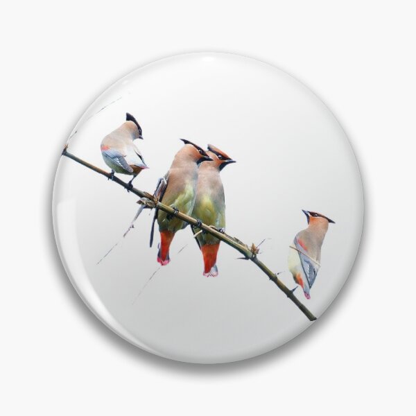 Item preview, Commonly referred to as the little waxwing bird (scientific name: Bombycilla japonica) is a bird belonging to the genus Waxwing of the bird class Waxwing family, with a body length of about 16 cm designed and sold by zenger2021.