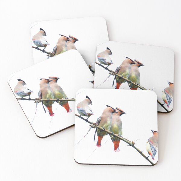 Item preview, Commonly referred to as the little waxwing bird (scientific name: Bombycilla japonica) is a bird belonging to the genus Waxwing of the bird class Waxwing family, with a body length of about 16 cm designed and sold by zenger2021.