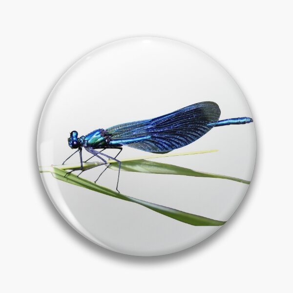 Item preview, Happy Blue dragonfly gift designed and sold by Icieldaimages.