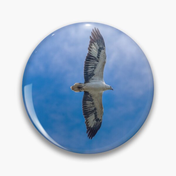Item preview, White Bellied Sea Eagle designed and sold by CathsImages.