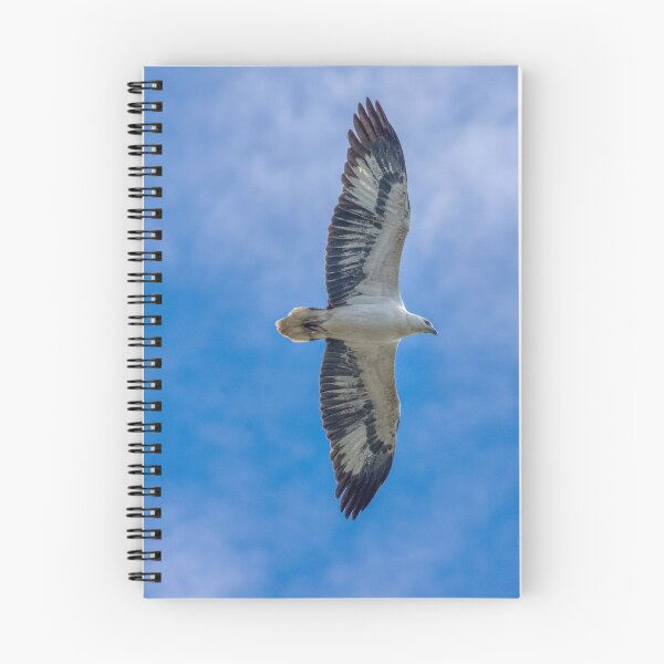 Item preview, White Bellied Sea Eagle designed and sold by CathsImages.
