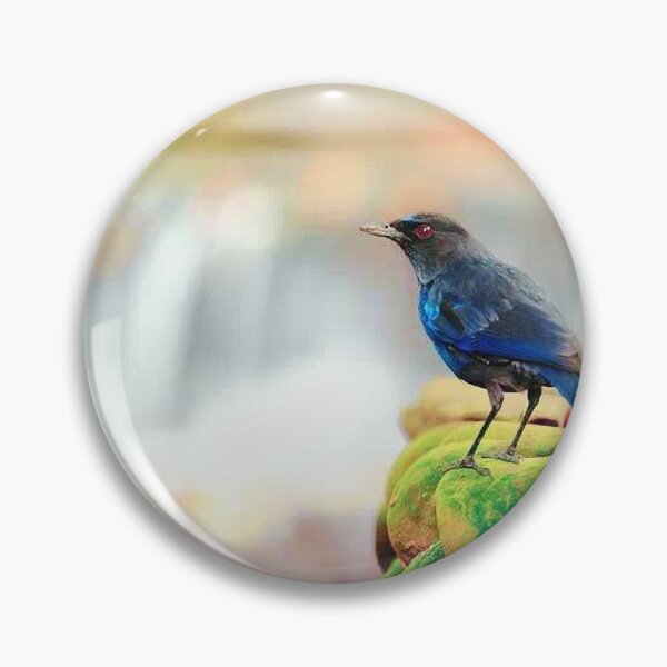 Item preview, Purple Howling Thrush (scientific name: Myophonus caeruleus) has dark blue-purple plumage designed and sold by zenger2021.