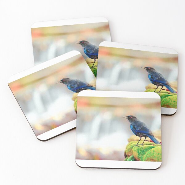 Item preview, Purple Howling Thrush (scientific name: Myophonus caeruleus) has dark blue-purple plumage designed and sold by zenger2021.