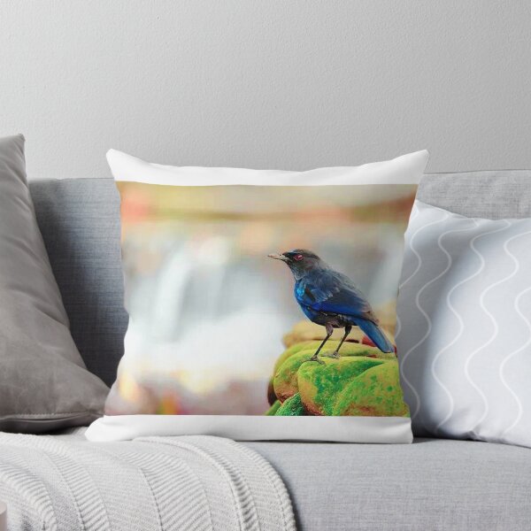 Item preview, Purple Howling Thrush (scientific name: Myophonus caeruleus) has dark blue-purple plumage designed and sold by zenger2021.