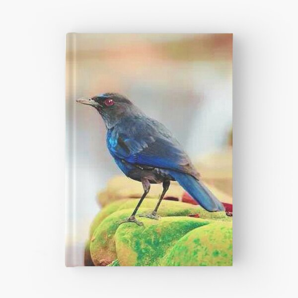 Item preview, Purple Howling Thrush (scientific name: Myophonus caeruleus) has dark blue-purple plumage designed and sold by zenger2021.