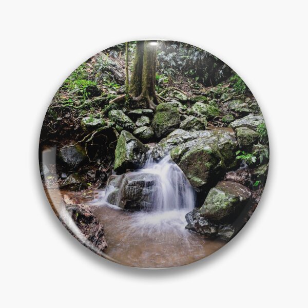 Item preview, Dorrigo National Park  designed and sold by CathsImages.