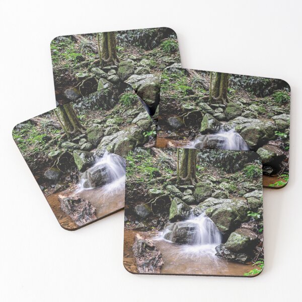 Item preview, Dorrigo National Park  designed and sold by CathsImages.