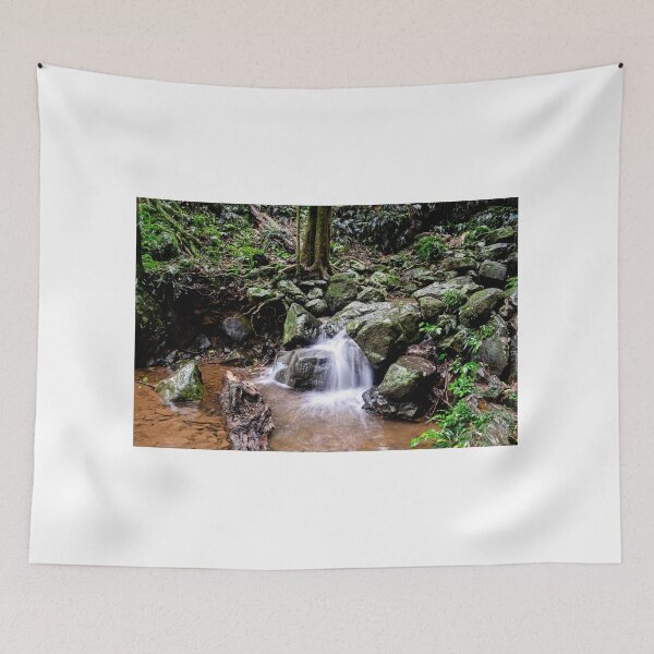 Item preview, Dorrigo National Park  designed and sold by CathsImages.