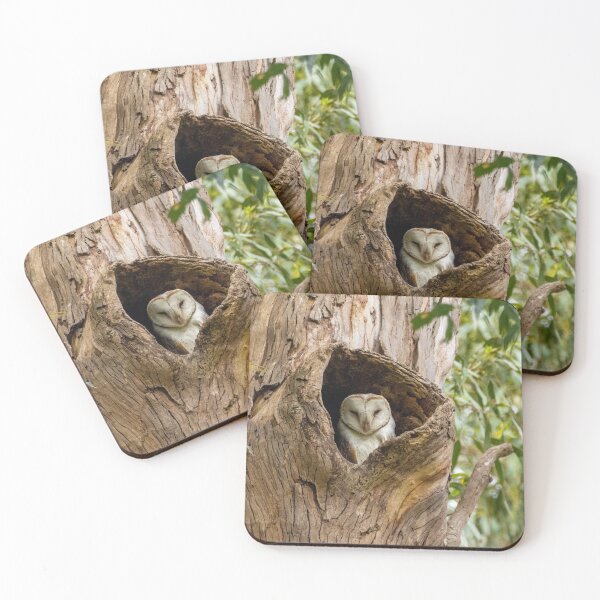 Item preview, Eastern Barn Owl designed and sold by CathsImages.