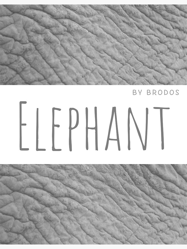 "Wild Elephant by BRODOS" Sticker for Sale by BRODOSpapa | Redbubble