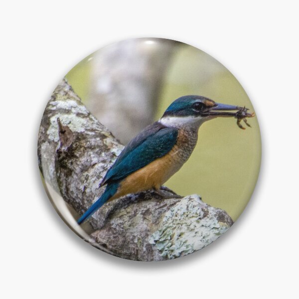 Item preview, Sacred Kingfisher designed and sold by CathsImages.