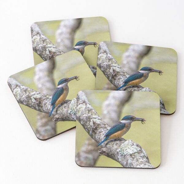 Item preview, Sacred Kingfisher designed and sold by CathsImages.