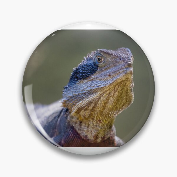 Item preview, Water Dragon designed and sold by CathsImages.