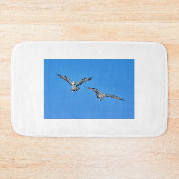 Item preview, Eastern Ospreys designed and sold by CathsImages.