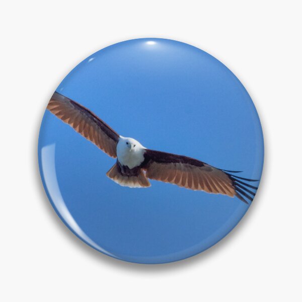 Item preview, Brahminy Kite designed and sold by CathsImages.