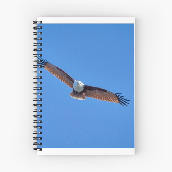 Item preview, Brahminy Kite designed and sold by CathsImages.