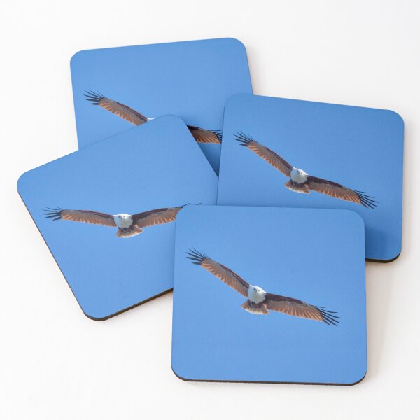 Item preview, Brahminy Kite designed and sold by CathsImages.