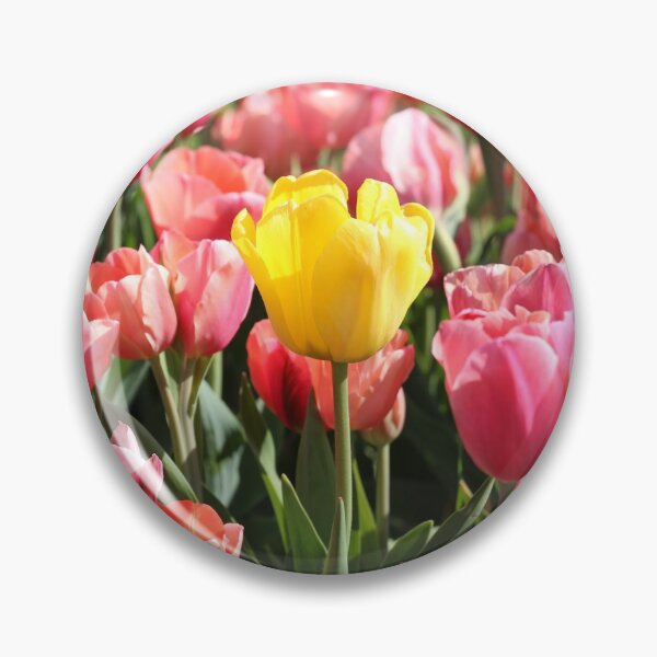 Item preview, Dare to be different designed and sold by NaturesLens.
