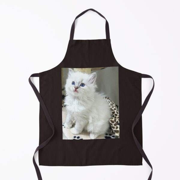Item preview, Ragdoll kitten designed and sold by Fluffycat2020.