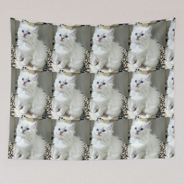 Item preview, Ragdoll kitten designed and sold by Fluffycat2020.