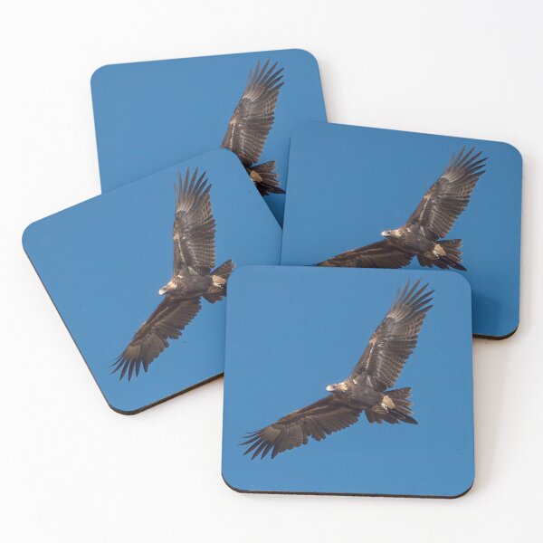 Item preview, Wedge Tailed Eagle designed and sold by Peter Hocking.