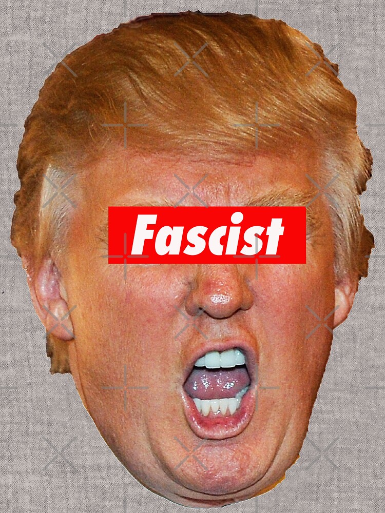 Thumbnail 5 von 5, Leichter Hoodie, Trump Faschist designt und verkauft von Thelittlelord.