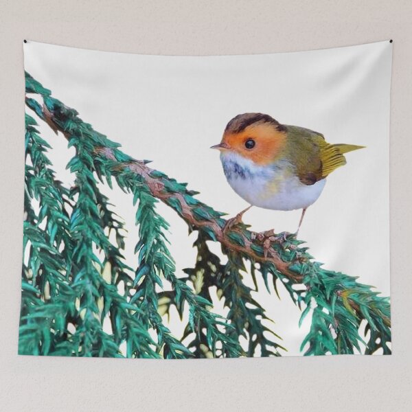 Item preview, Brown-faced Flycatcher (scientific name: Seicercus albogularis), also known as Brown-faced Flycatcher designed and sold by zenger2021.