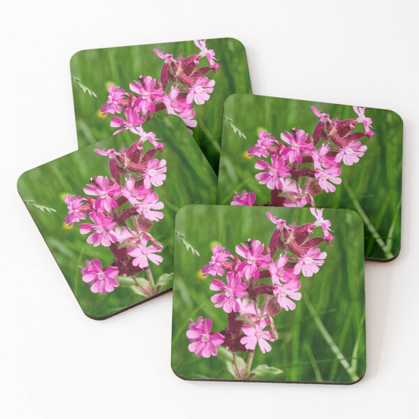 Item preview, Color contrasts. Red campion designed and sold by Jouko Lehto Photography.