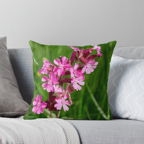 Item preview, Color contrasts. Red campion designed and sold by Jouko Lehto Photography.
