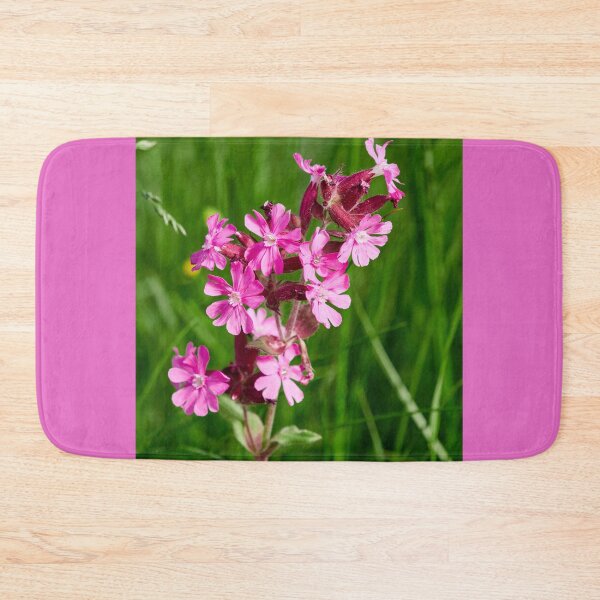 Item preview, Color contrasts. Red campion designed and sold by Jouko Lehto Photography.