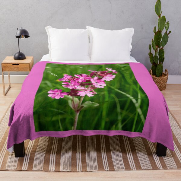 Item preview, Color contrasts. Red campion designed and sold by Jouko Lehto Photography.