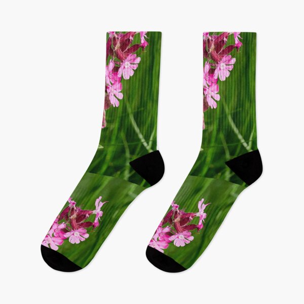 Item preview, Color contrasts. Red campion designed and sold by Jouko Lehto Photography.