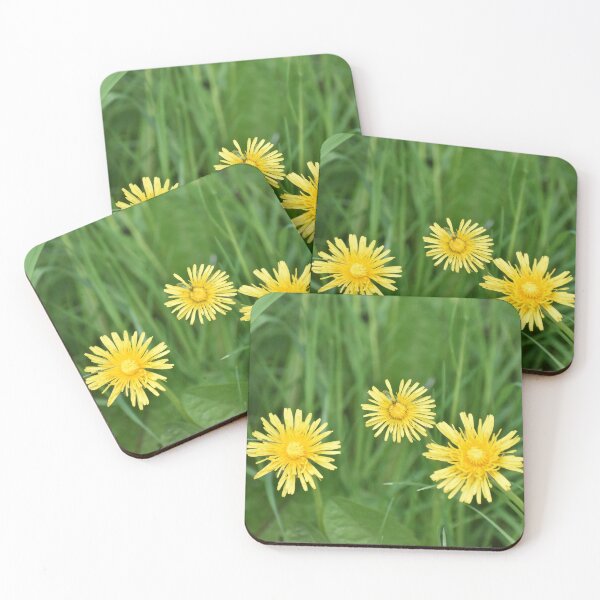 Item preview, Dandelion Bloom designed and sold by Meggie-moos.