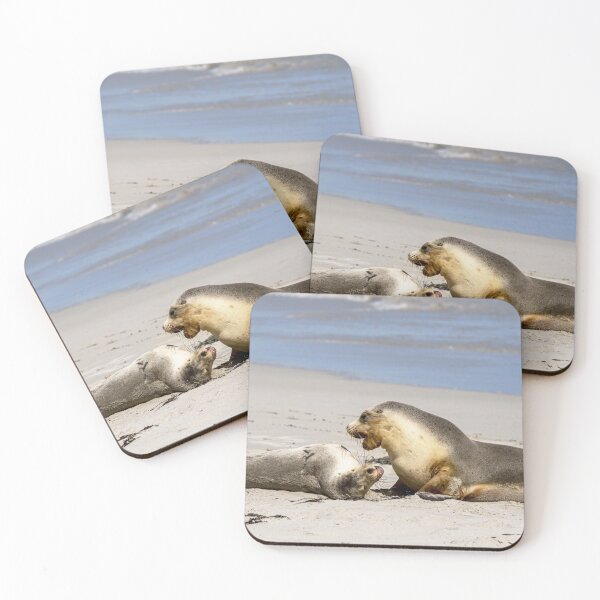 Item preview, Sea Lions at Play designed and sold by Catherine Reading.
