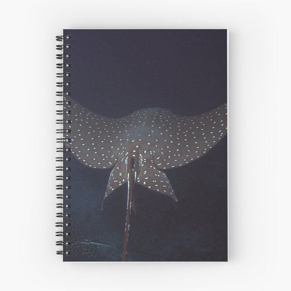 Item preview, Eagle Ray In Flight designed and sold by Brent Barnes.