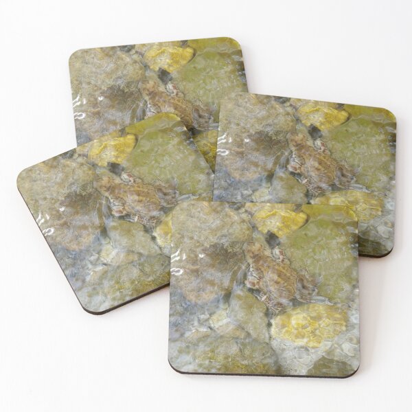 Item preview, A static shot of a toad under the clear water of a mountain stream between rocks and stones; beautiful nature in a sunny day; no people around designed and sold by Maurizio Fabbroni.