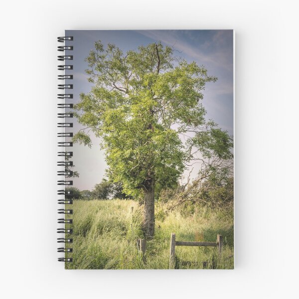 Item preview, The stile and Ash tree designed and sold by JEZ22.