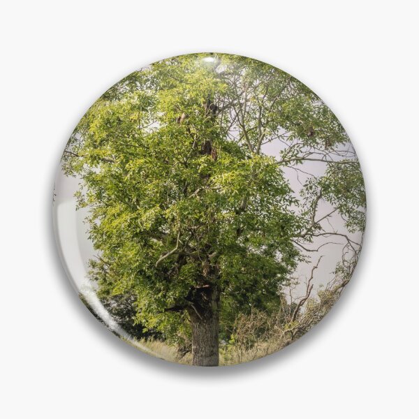 Item preview, The stile and Ash tree designed and sold by JEZ22.