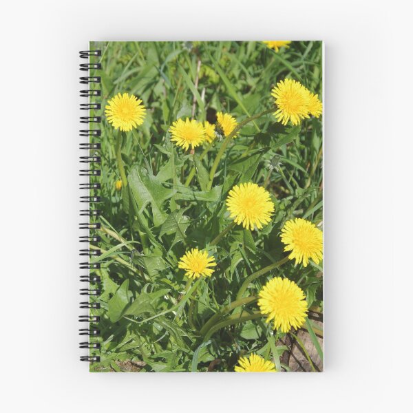 Item preview, Dandelions (Taraxacum) designed and sold by lezvee.