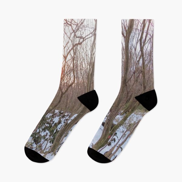 Item preview, Forest Snow designed and sold by Sarcasome.