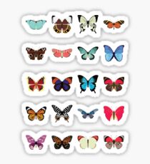 Butterflies Sticker