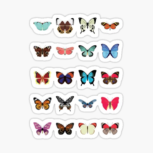 Butterflies Sticker