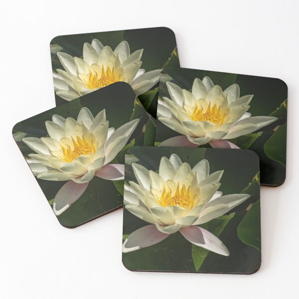 Item preview, Water Lilly designed and sold by DonMc.
