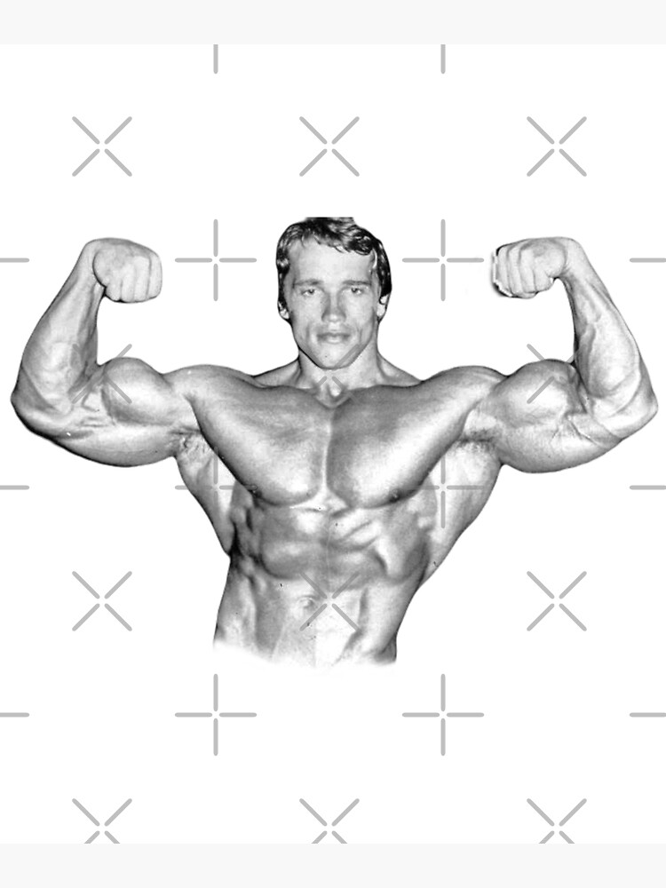 Joseph Baena recreates dad Arnold Schwarzenegger's famous Mr Olympia body  building pose - Yahoo Sports
