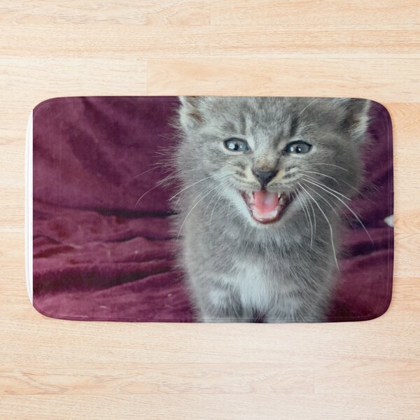 Item preview, Cute grey kitten fierce  designed and sold by Jpsmyth.