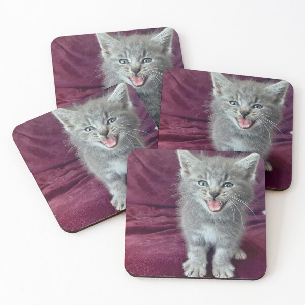 Item preview, Cute grey kitten fierce  designed and sold by Jpsmyth.