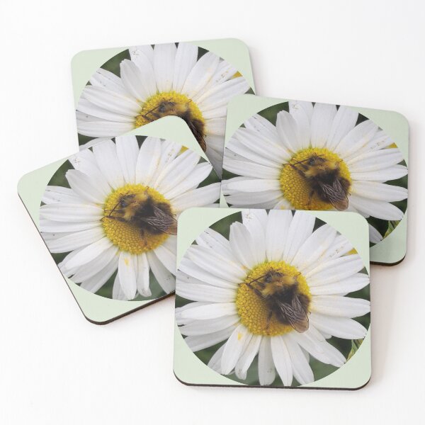 Item preview, Bee on a Daisy designed and sold by amanda150771.