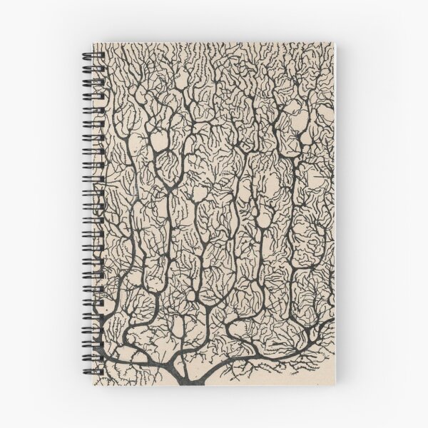 Item preview, A purkinje neuron from the human cerebellum, ca. 1900, Santiago Ramon y Cajal designed and sold by Jpsmyth.