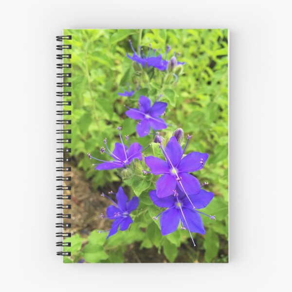Item preview, Speedwell Flower designed and sold by kenzappell.