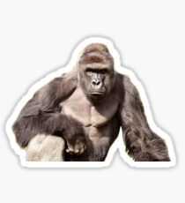 Harambe Sticker